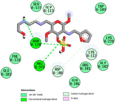 New Chitosan Polymer Scaffold Schiff Bases as Potential Cytotoxic Activity: Synthesis, Molecular Docking, and Physiochemical Characterization